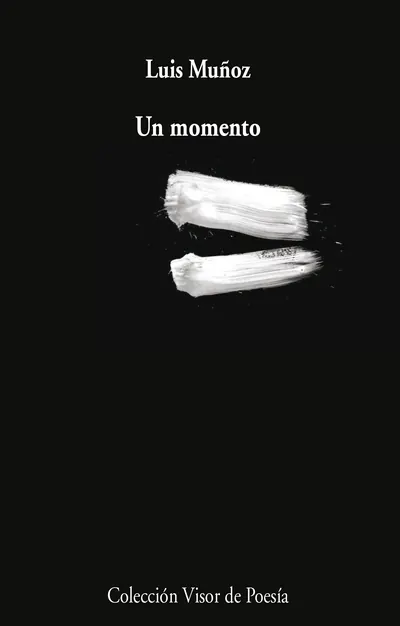Portada de Un momento, de Luis Muñoz (Visor)